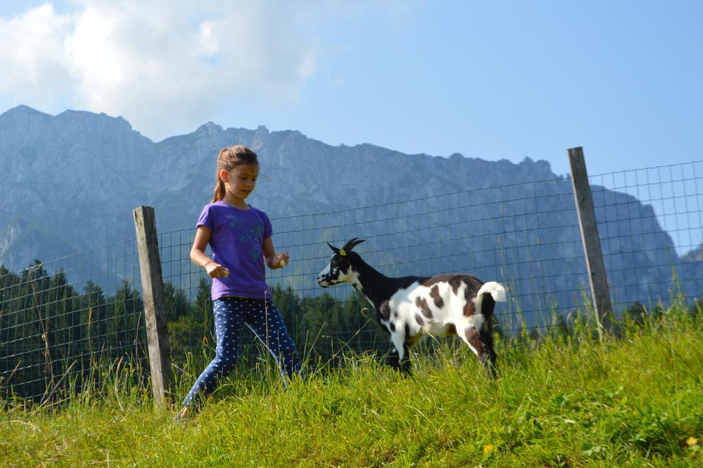 Landgasthof Ledererwirt Ebbs Exterior foto