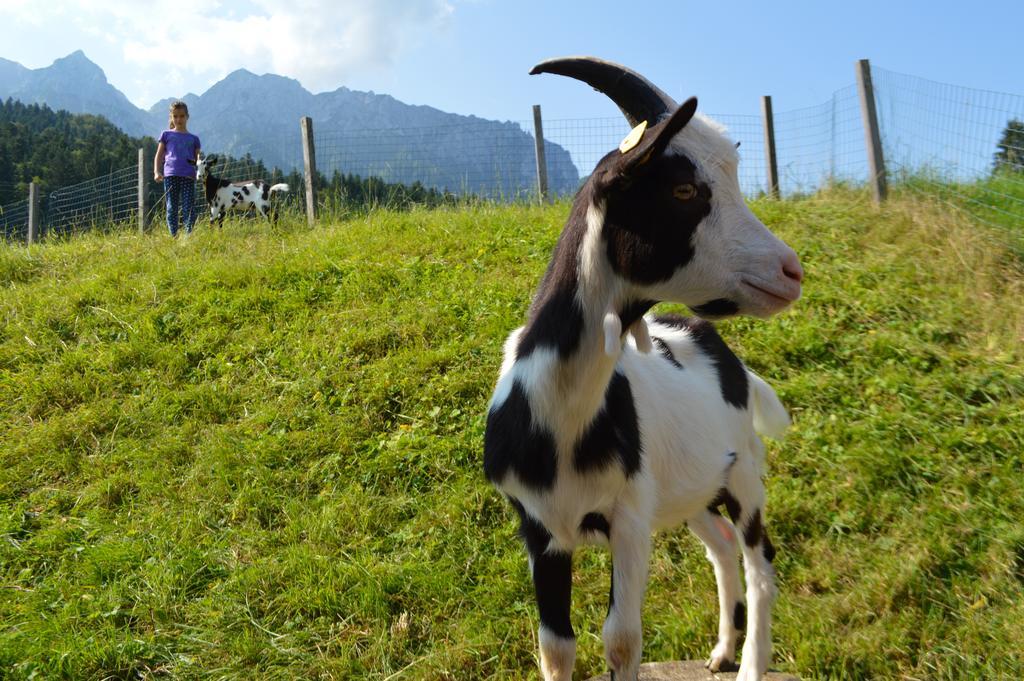 Landgasthof Ledererwirt Ebbs Exterior foto